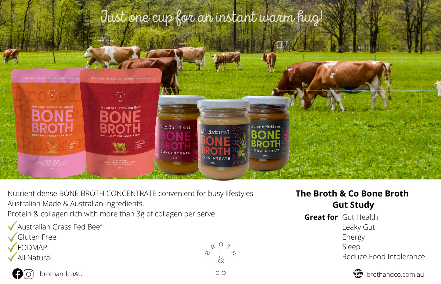 Bone Broth Concentrate Tum Yum Thai 275g - Pasture Raised